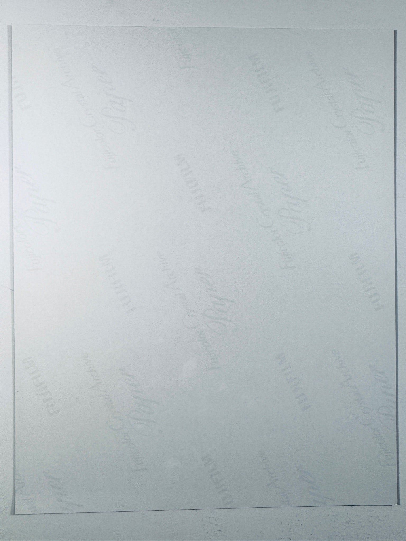 The plain white reverse side of a photographic print showing faint translucent watermark patterns that read "Fujicolor Crystal Archive Paper".