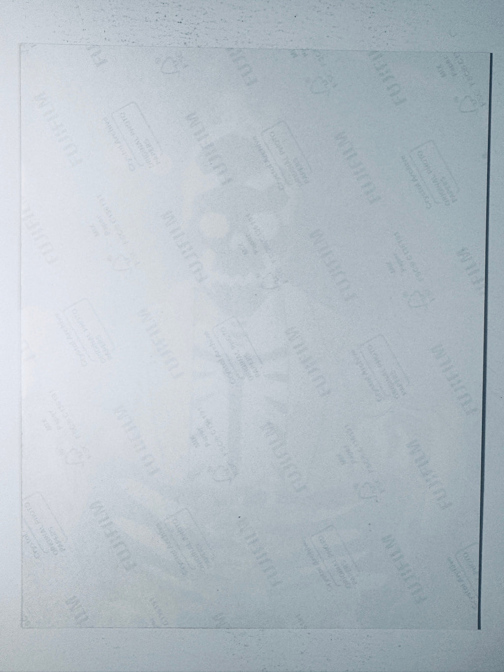 Back condition view of the Fujifilm Crystal Archive paper for the Alan Tudyk signed Creature Commandos 8x10 photo.