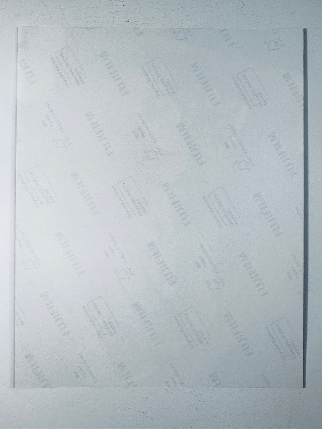 Back of the Fujifilm photographic paper showing the reverse side condition and paper branding for the Amber Heard signed collectible.
