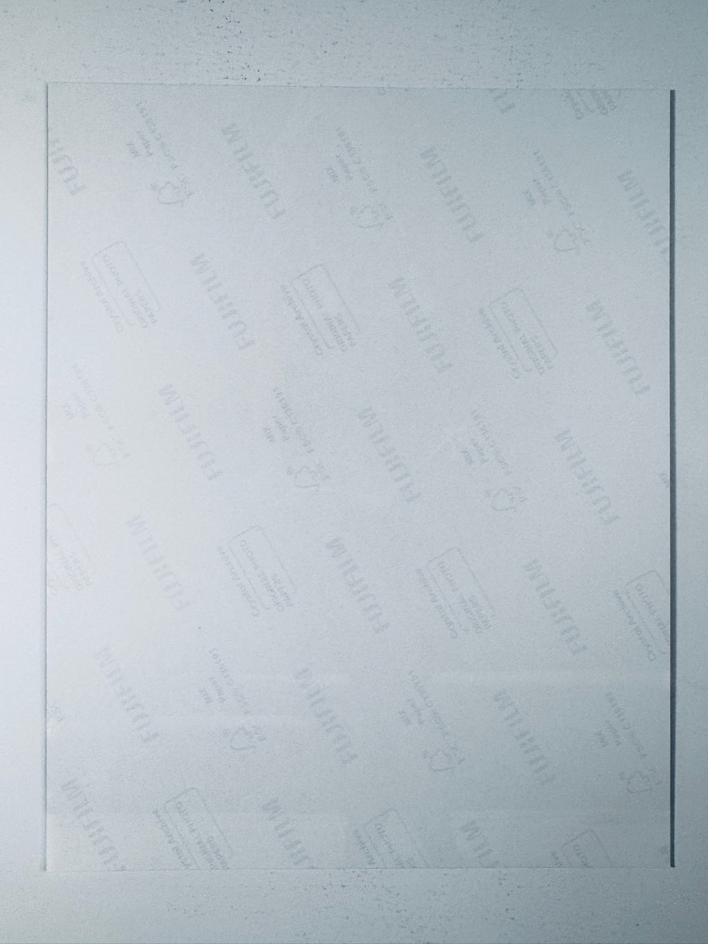 Back of the Fujifilm photographic paper showing the reverse side condition and paper branding for the Amber Lancaster signed collectible.