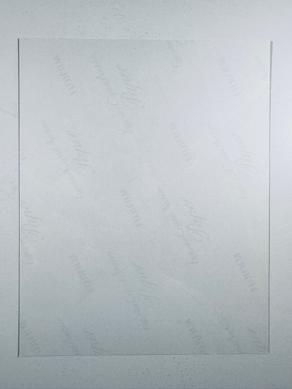 The plain white reverse side representing the back physical condition of the photograph print, showing translucent Fujicolor Crystal Archive Paper watermarks and logos.