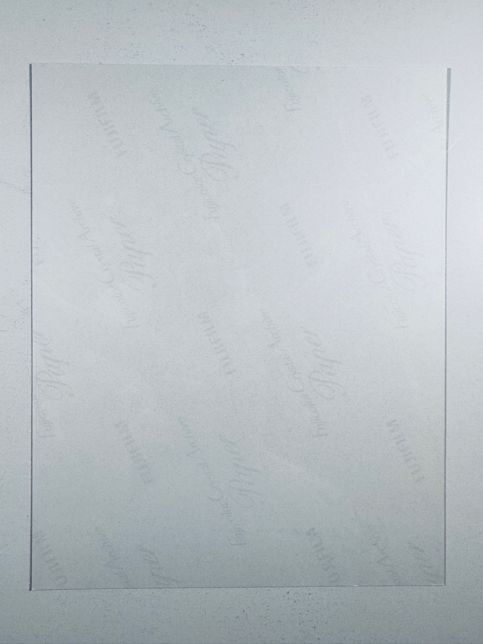 The plain white reverse side representing the back physical condition of the photograph print, showing translucent Fujicolor Crystal Archive Paper watermarks and logos.