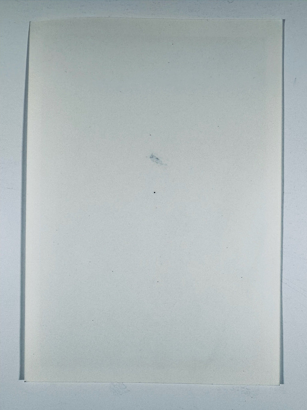 Blank reverse back side of 8x10 Arnold Schwarzenegger autographed portrait photo.