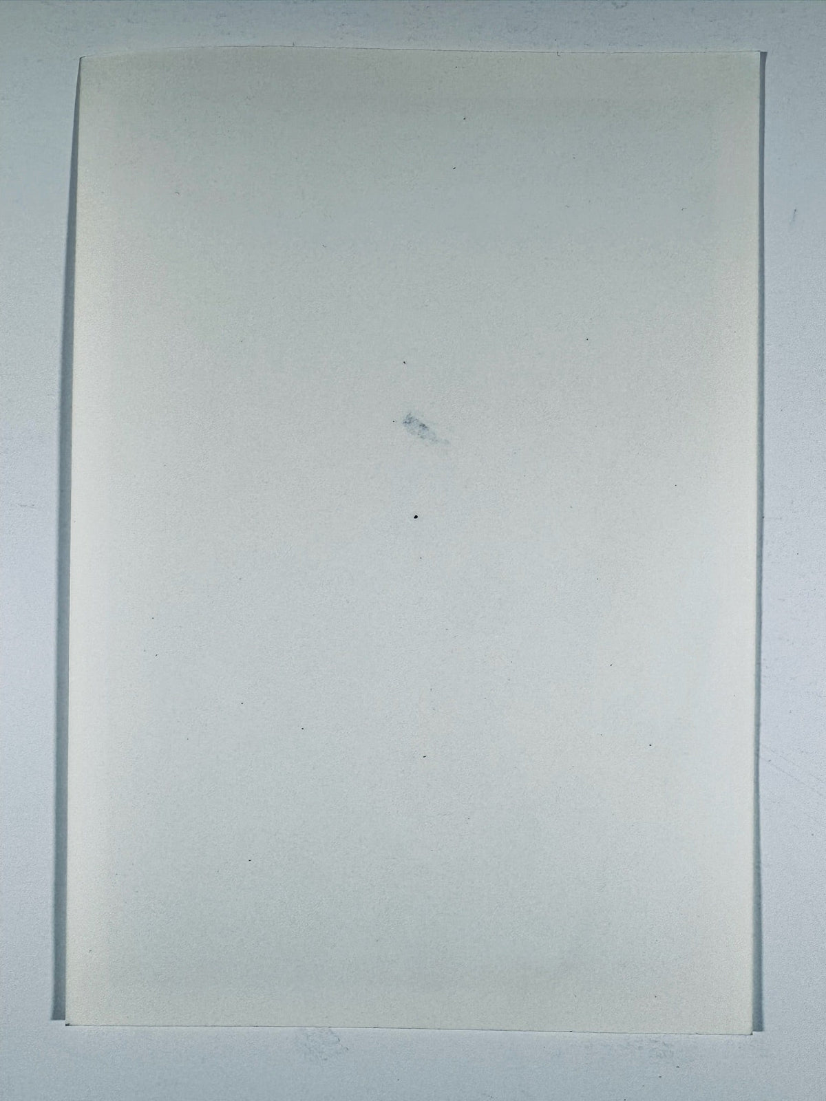 Blank reverse back side of 8x10 Arnold Schwarzenegger autographed portrait photo.