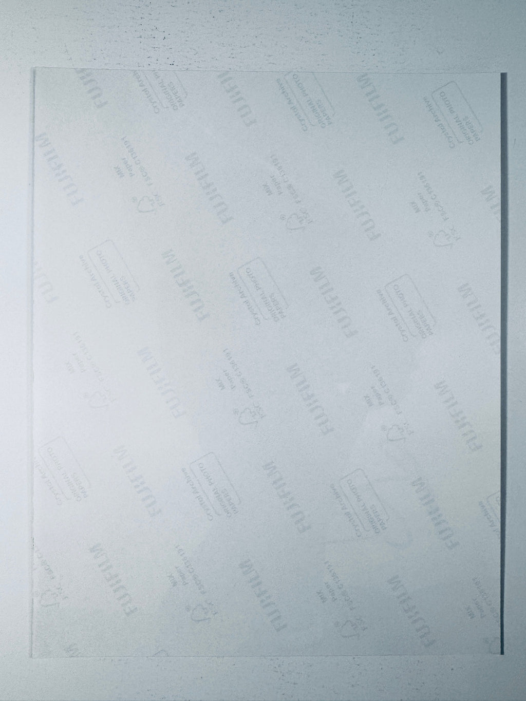 Back condition view of the Fujifilm Crystal Archive paper for the Barbara Palvin signed 8x10 photo.