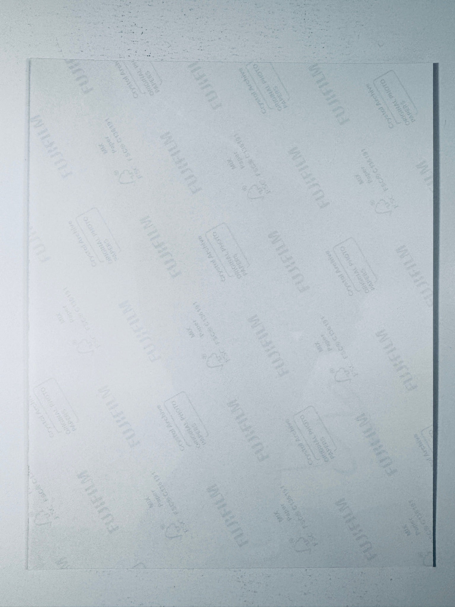Back condition view of the Fujifilm Crystal Archive paper for the Barbara Palvin signed 8x10 photo.
