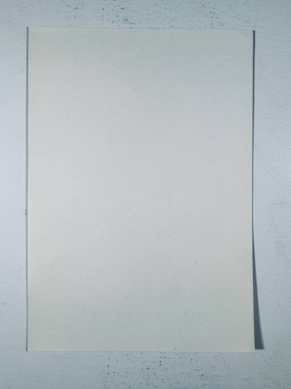 Blank reverse side of the vintage Bea Arthur signed photo showing clean, unprinted paper backing and physical photo condition.