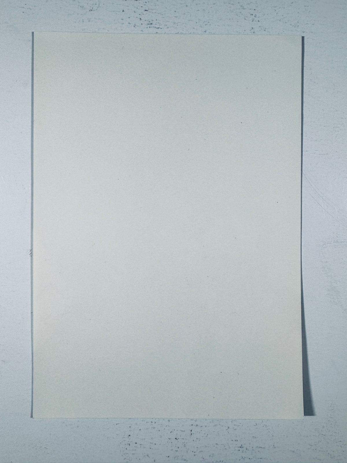 Blank reverse side of the vintage Bea Arthur signed photo showing clean, unprinted paper backing and physical photo condition.