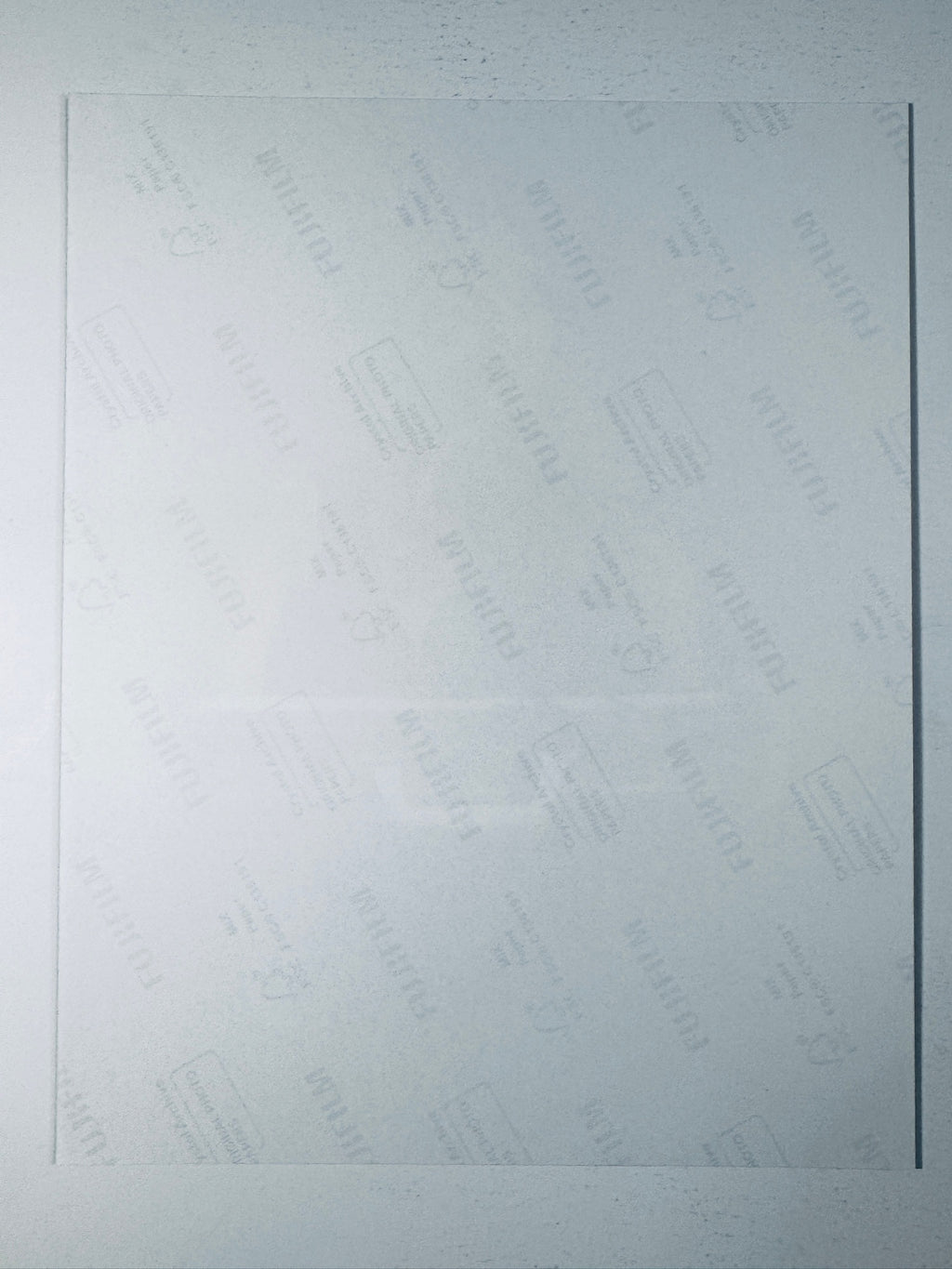 Back of the Fujifilm photographic paper showing the reverse side condition and paper branding for the Bernice Marlohe signed James Bond collectible.