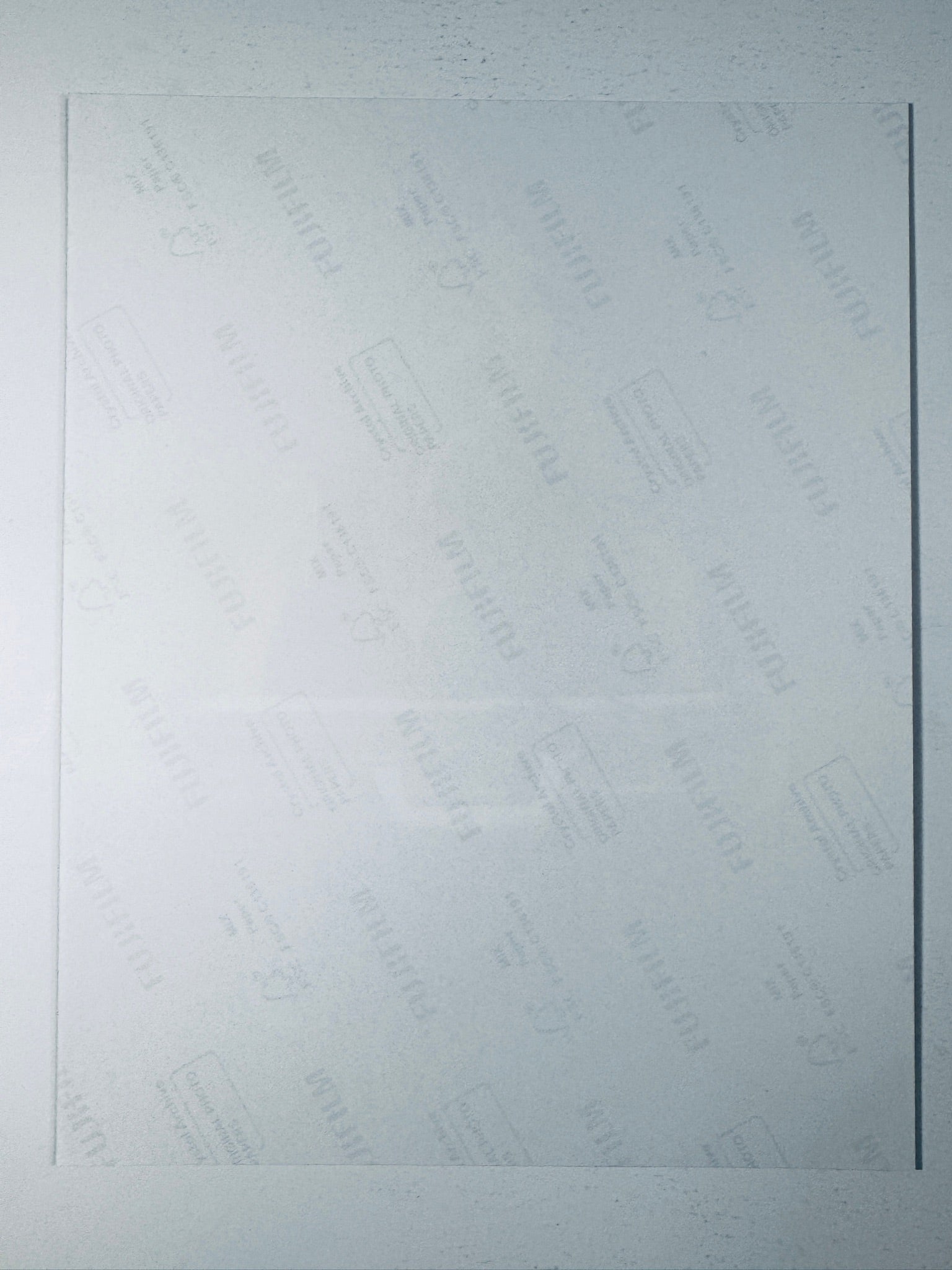 Back of the Fujifilm photographic paper showing the reverse side condition and paper branding for the Bernice Marlohe signed James Bond collectible.