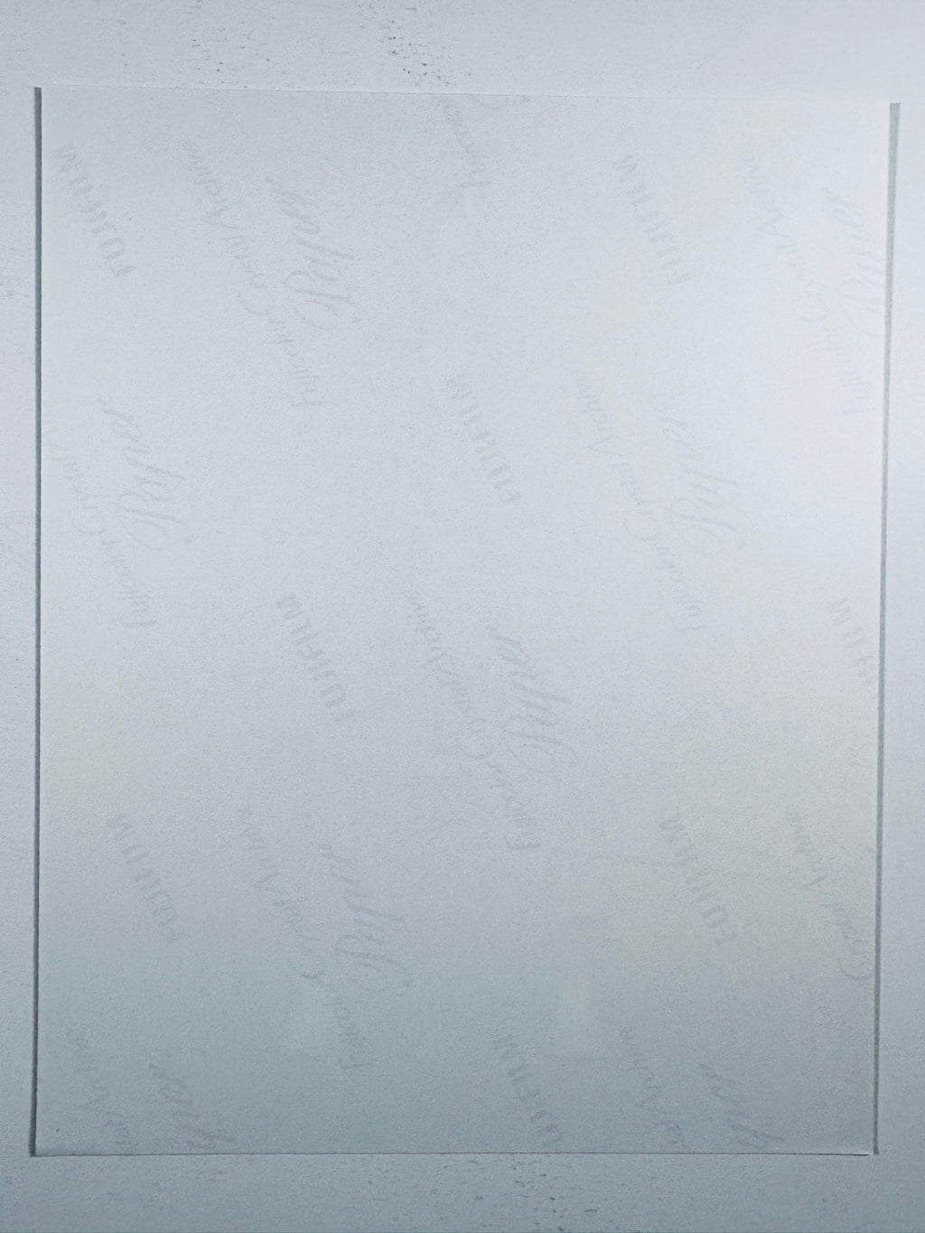 Billie Eilish Hand-Signed 8x10 Matte Photo – Grammy-Winning Pop Icon Authentic Autograph - Northwest Cascade Collectibles