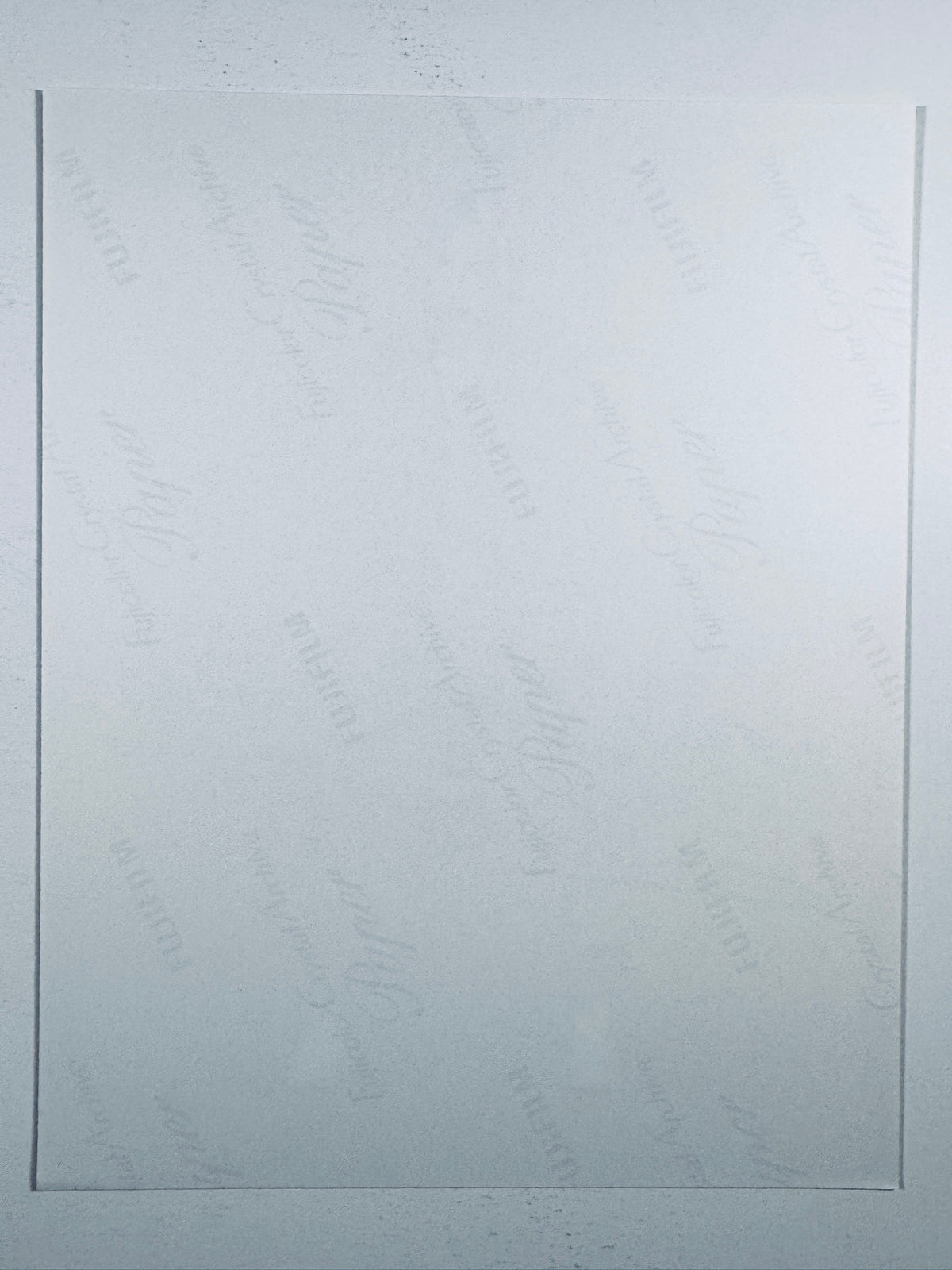 Billie Eilish Hand-Signed 8x10 Matte Photo – Grammy-Winning Pop Icon Authentic Autograph - Northwest Cascade Collectibles