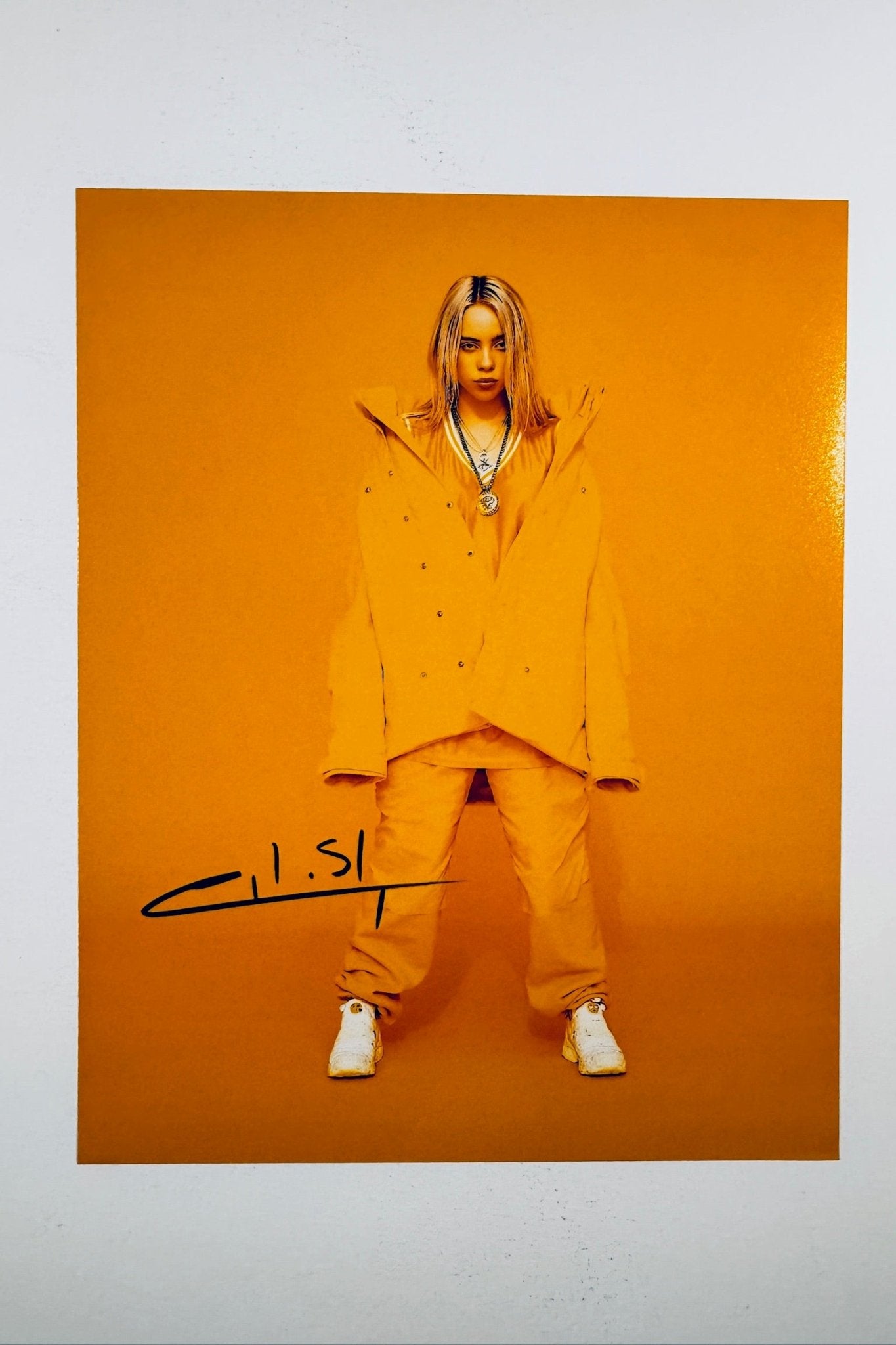 Billie Eilish Hand-Signed 8x10 Matte Photo – Grammy-Winning Pop Icon Authentic Autograph - Northwest Cascade Collectibles