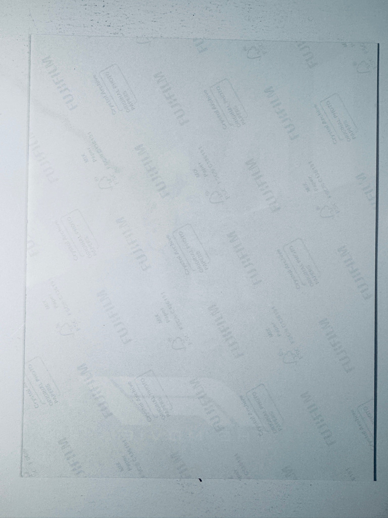 Back condition view of the Fujifilm Crystal Archive paper for the Brad Pitt signed F1 The Movie 8x10 photo.
