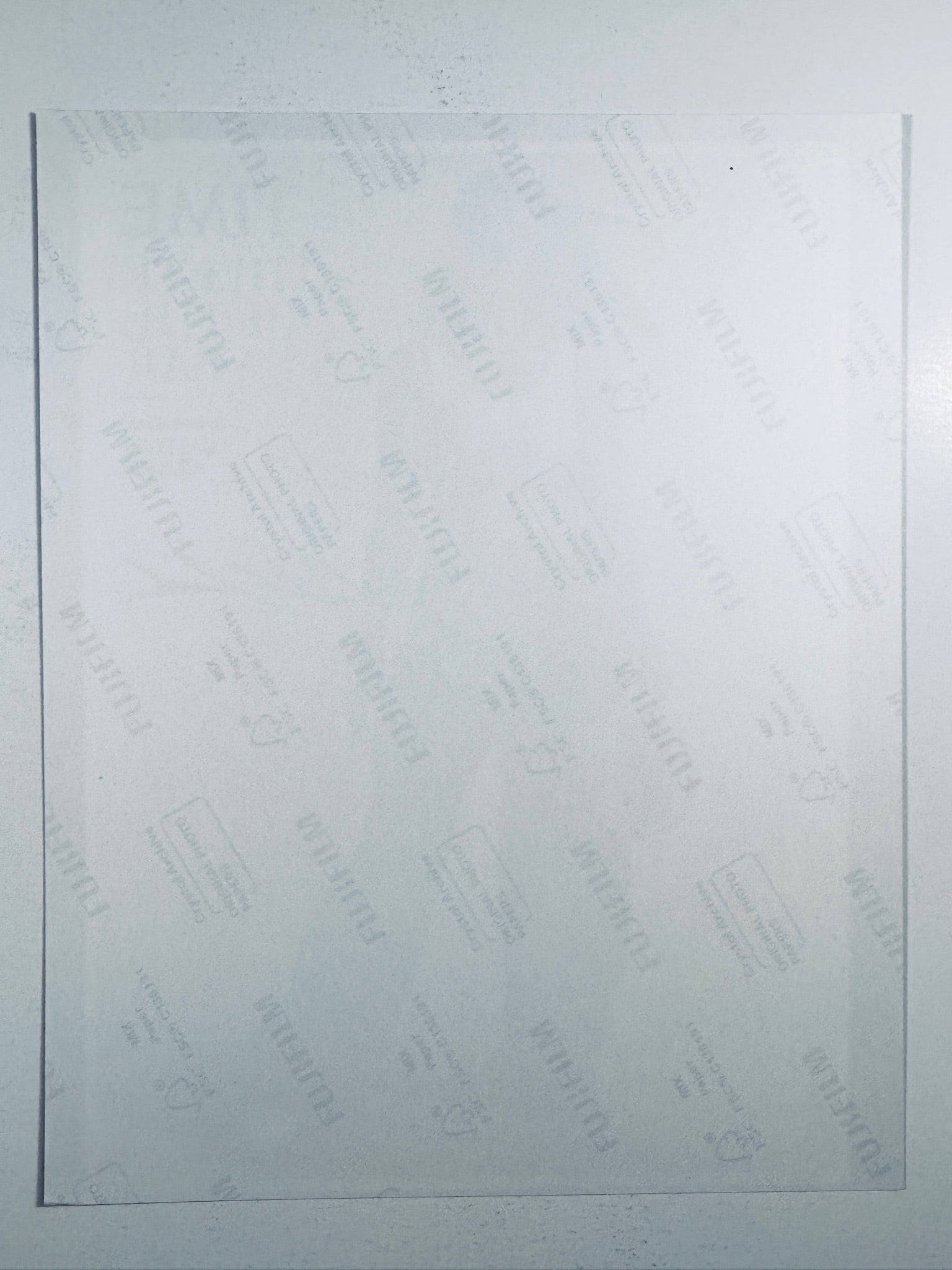 The plain white reverse side representing the back physical condition of the photograph print, showing translucent Fujifilm crystal archive paper watermarks and logos.