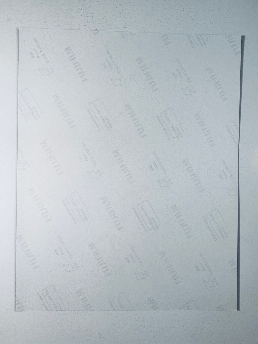 Back condition view of the Fujifilm Crystal Archive paper for the Cara Delevingne signed 8x10 photo.