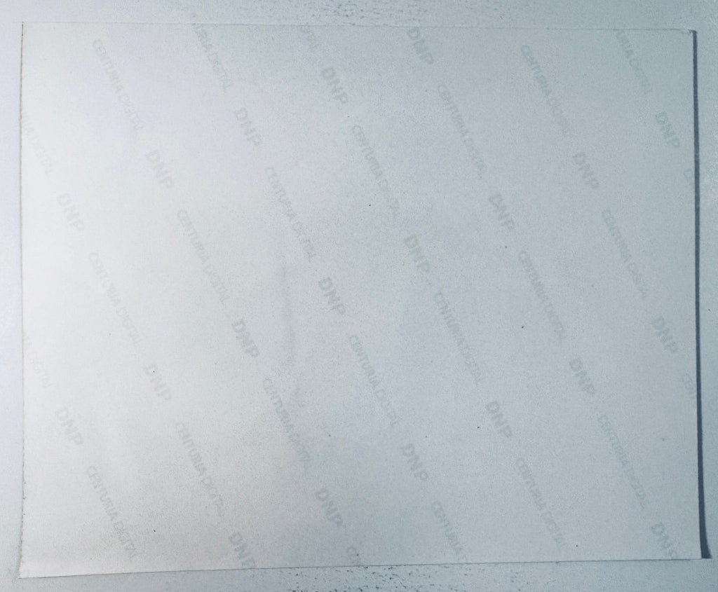 Blank reverse back view of the Carles Puyol autographed Spain soccer photograph showing photo paper watermark.
