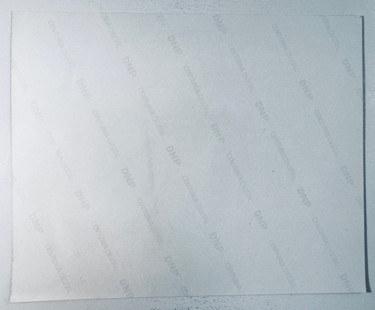 Blank reverse back view of the Carles Puyol autographed Spain soccer photograph showing photo paper watermark.