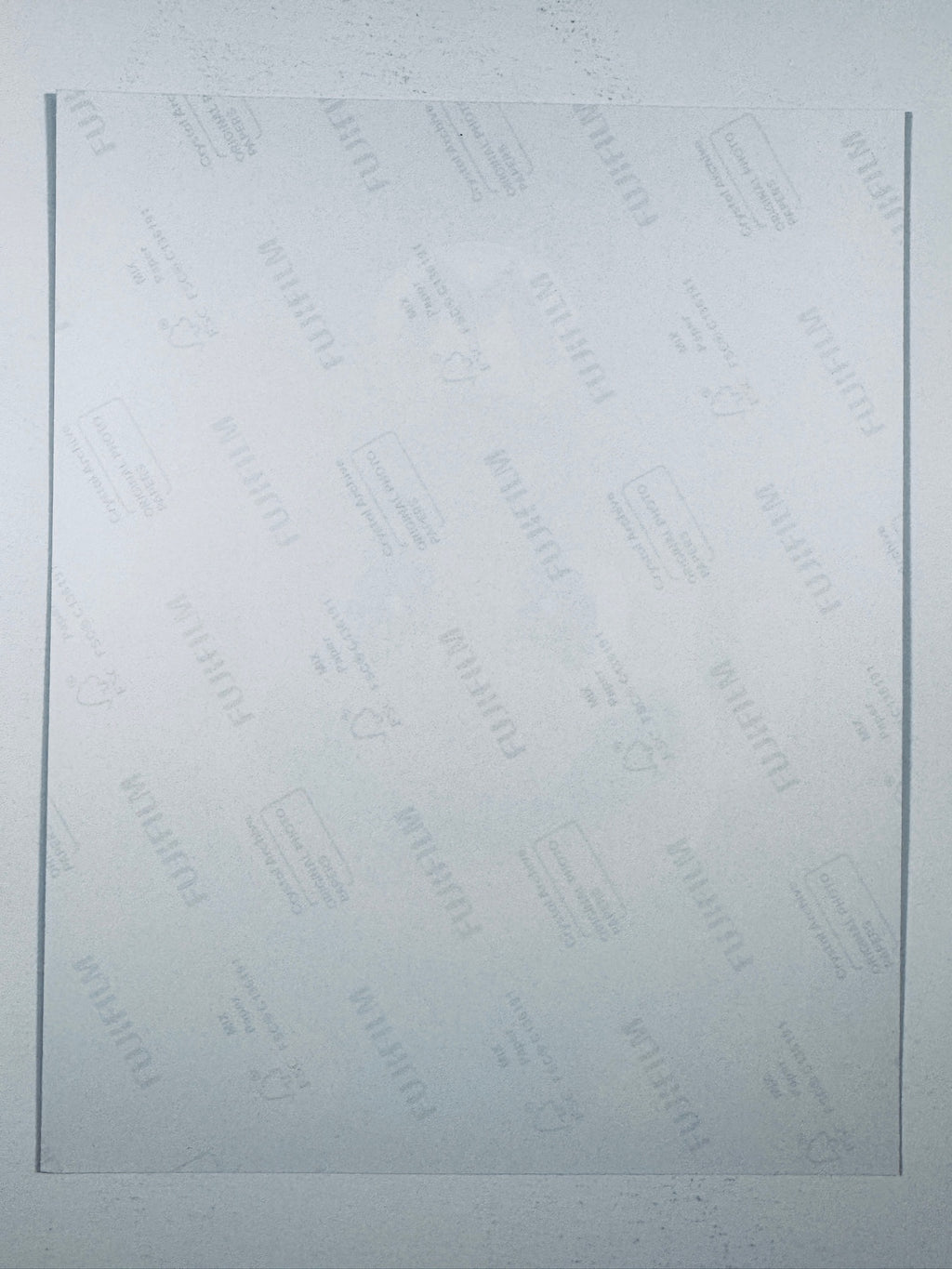 The plain white reverse side representing the back physical condition of the photograph print, showing translucent Fujifilm crystal archive paper watermarks and logos.