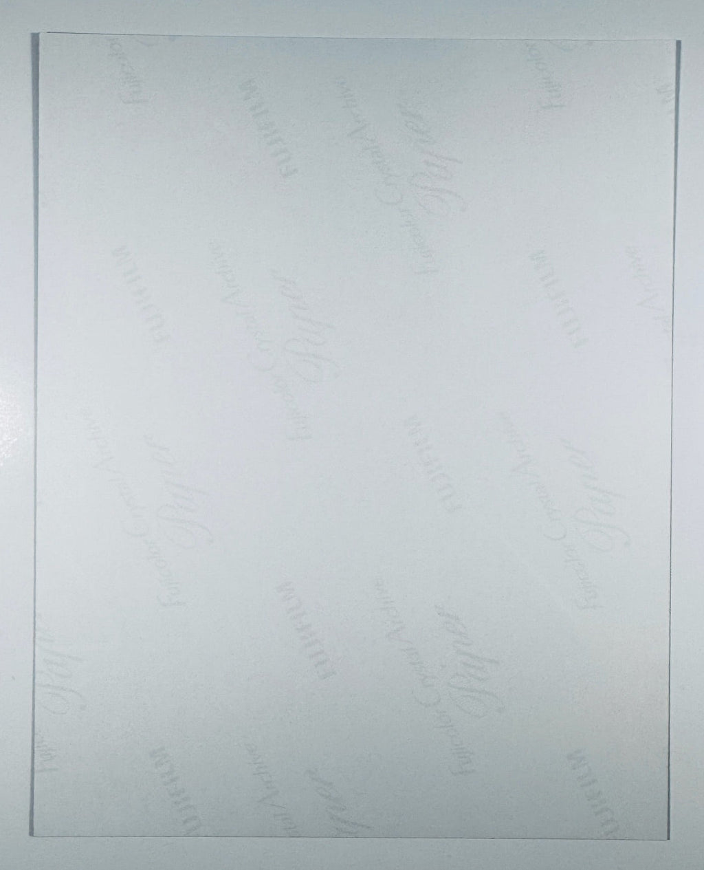 Back of Dacre Montgomery Billy Hargrove Stranger Things signed 8x10 matte photograph