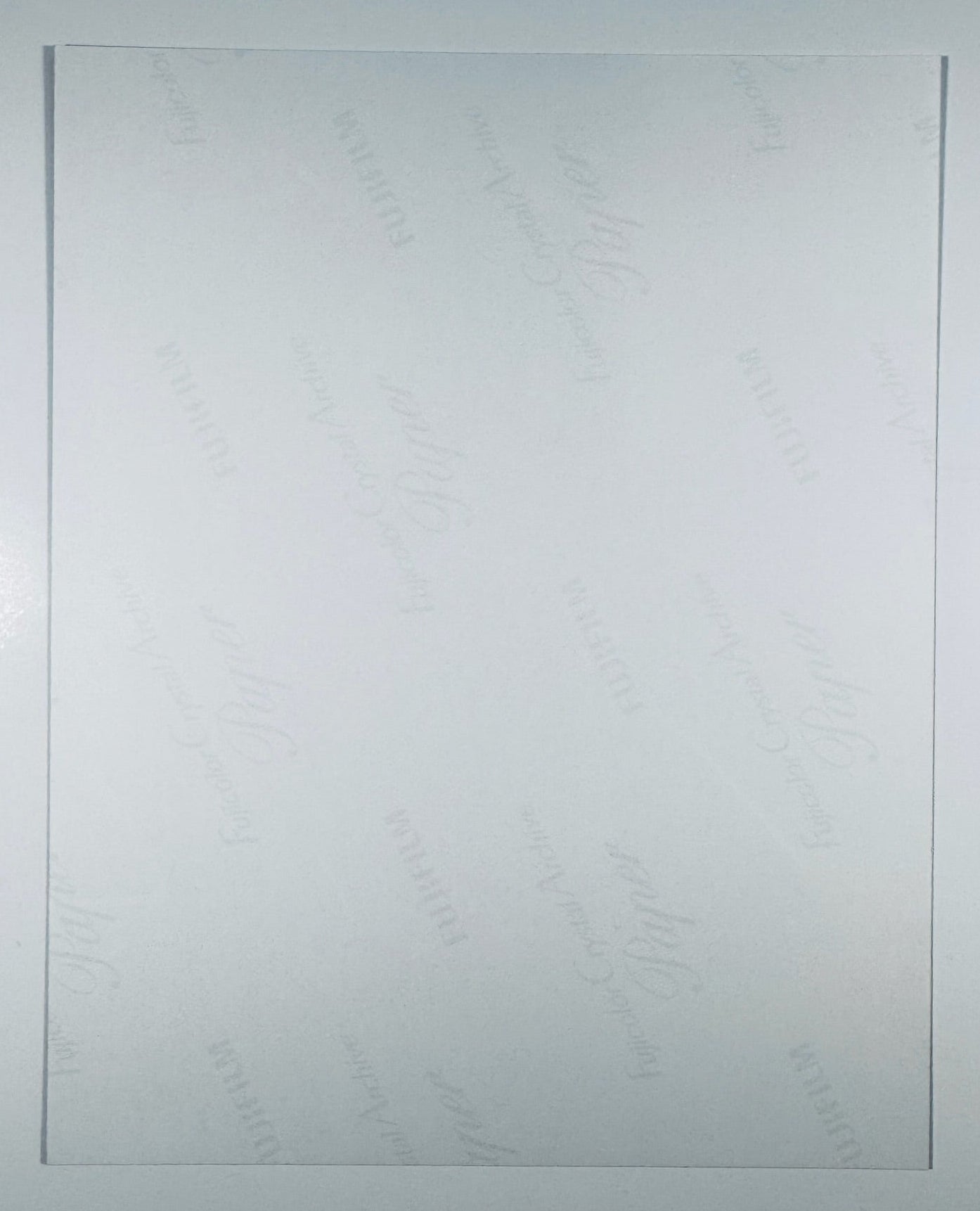 Back of Dacre Montgomery Billy Hargrove Stranger Things signed 8x10 matte photograph
