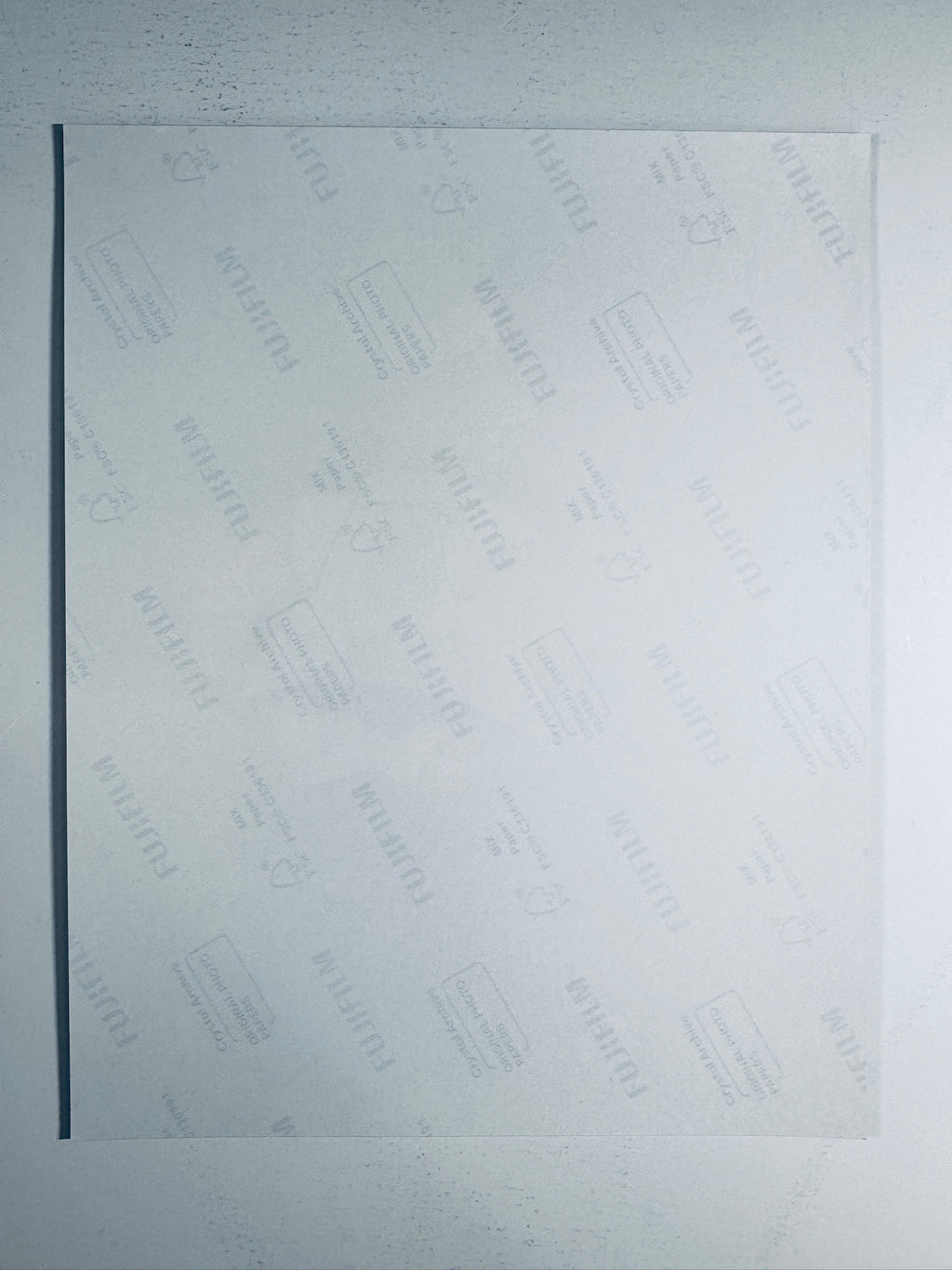 Back condition view of the Fujifilm Crystal Archive paper for the Dan Castellaneta signed Homer Simpson 8x10 photo.