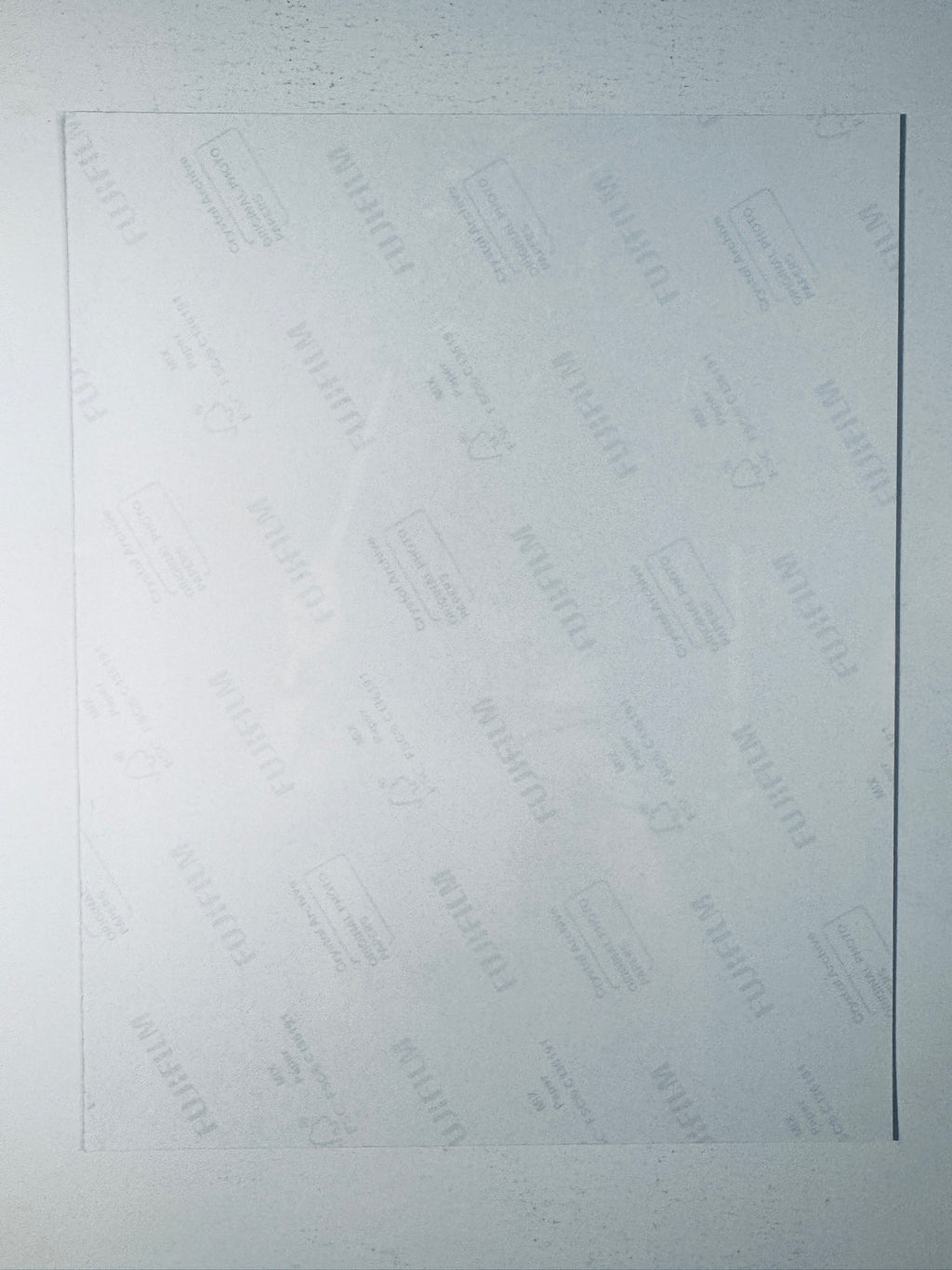 Back condition view of the Fujifilm Crystal Archive paper for the Dave Grohl signed Nirvana 8x10 photo.