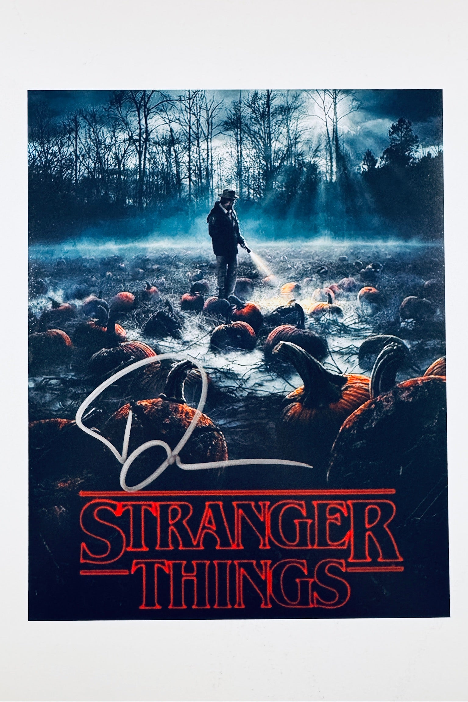 A promotional art poster for Stranger Things featuring a character holding a flashlight in a foggy pumpkin patch at night, with a white signature across the foreground pumpkins.