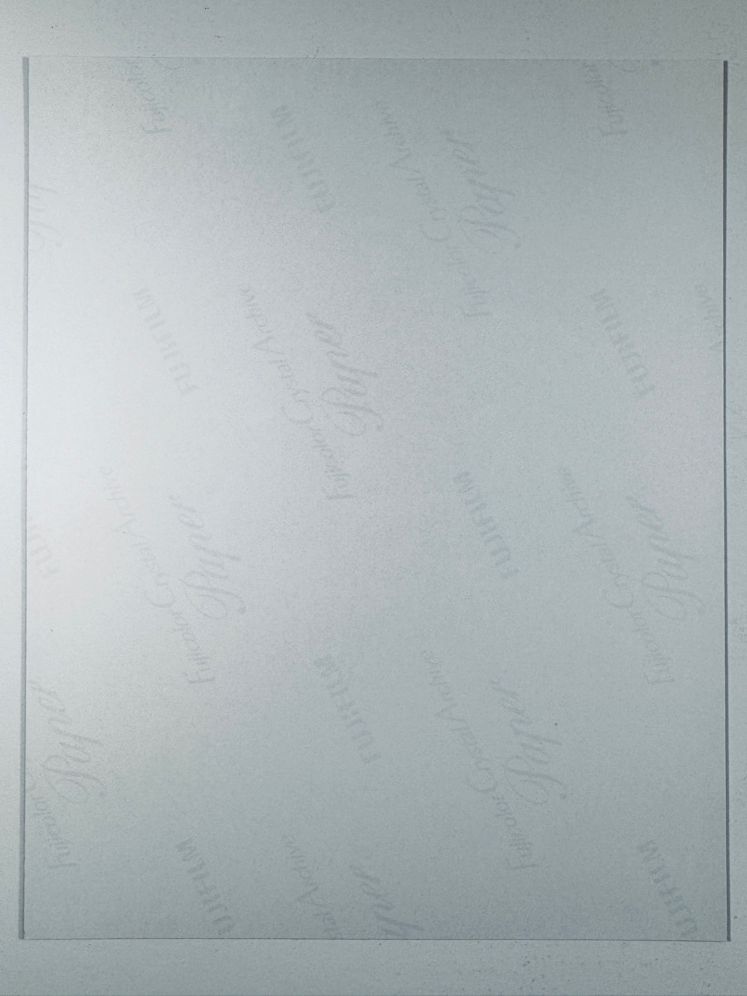 The plain white reverse side of a photographic print showing faint translucent watermark patterns and repeating Fujifilm paper logos.