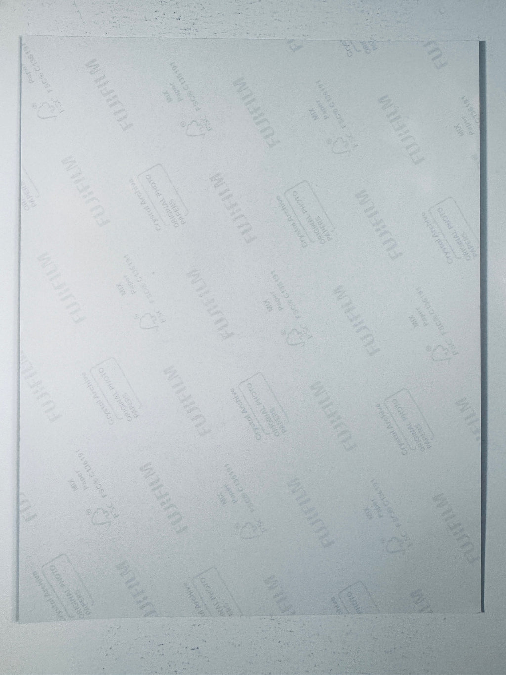 Back of the Fujifilm photographic paper showing the reverse side condition and paper branding for the Denise Richards signed collectible.