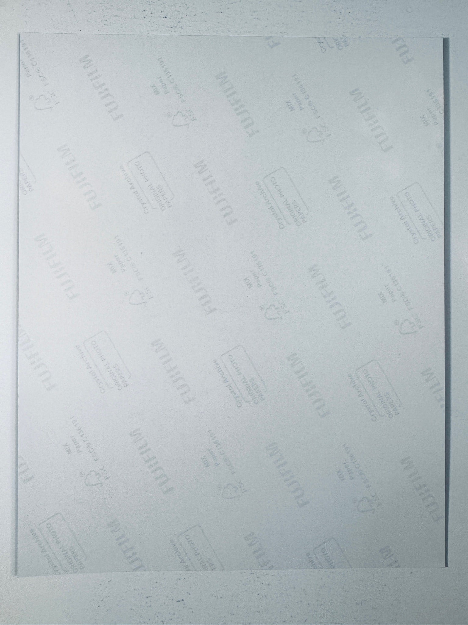 Back of the Fujifilm photographic paper showing the reverse side condition and paper branding for the Denise Richards signed collectible.