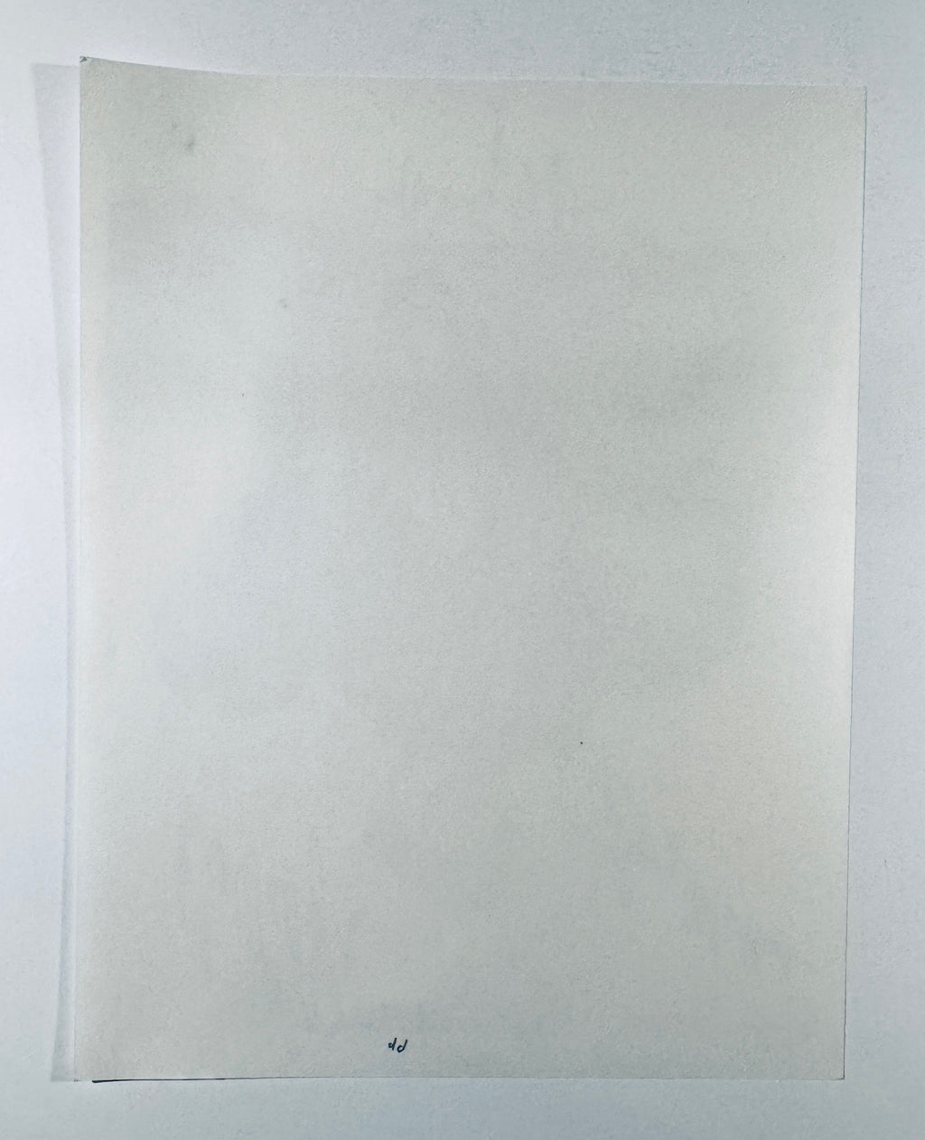 Full back view of blank backing on vintage Dick Van Dyke Show signed 8x10 photo.