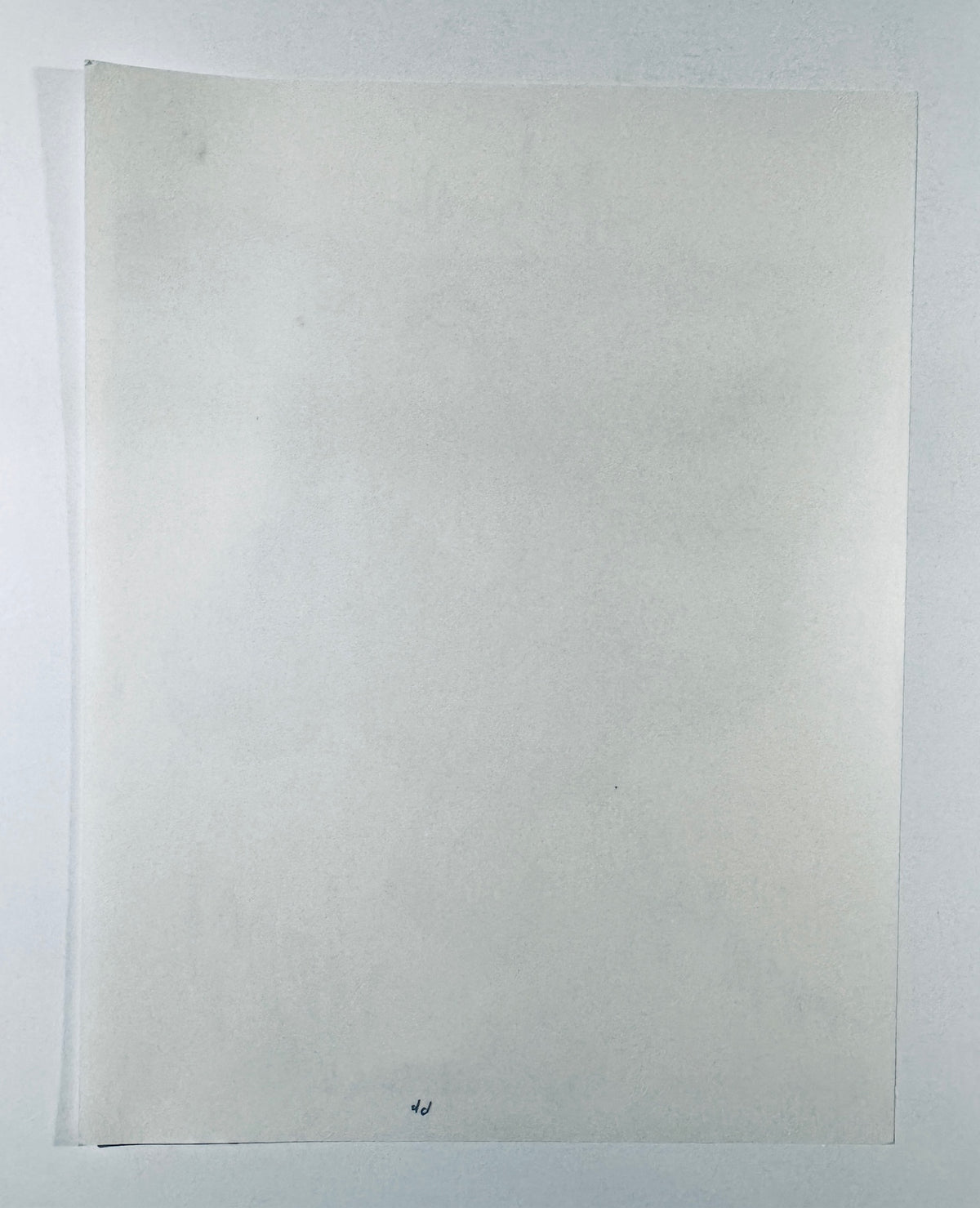 Full back view of blank backing on vintage Dick Van Dyke Show signed 8x10 photo.