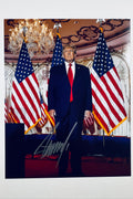 A portrait of Donald Trump standing in a formal room with American flags on either side, an ornate ceiling, and a crystal chandelier, featuring a dark marker signature across the lower center.