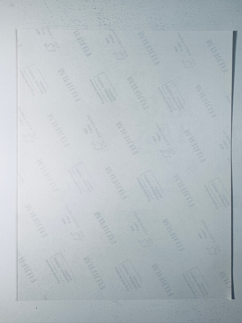 Back condition view of the Fujifilm Crystal Archive paper for the Elly De La Cruz signed Cincinnati Reds All-Star 8x10 photo.