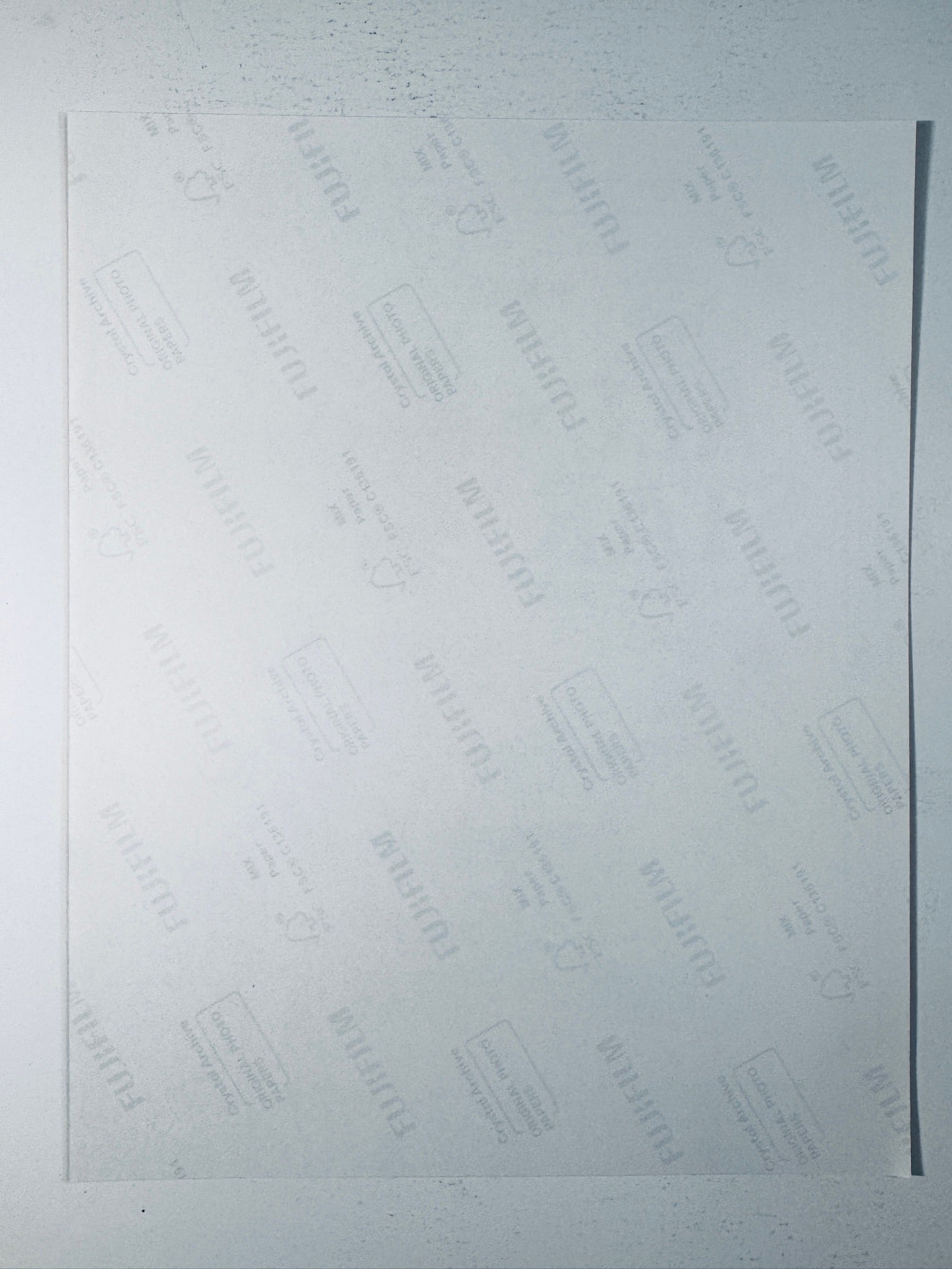 Back condition view of the Fujifilm Crystal Archive paper for the Elly De La Cruz signed Cincinnati Reds All-Star 8x10 photo.