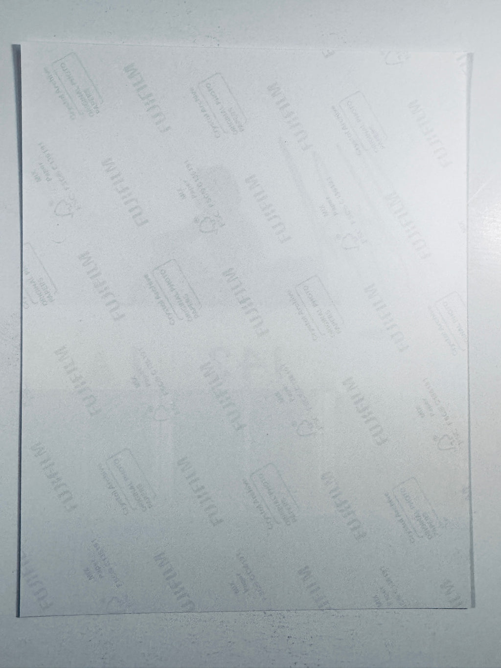 The plain white reverse side representing the back physical condition of the Into the Wild photograph print, showing translucent Fujifilm crystal archive paper watermarks and logos.