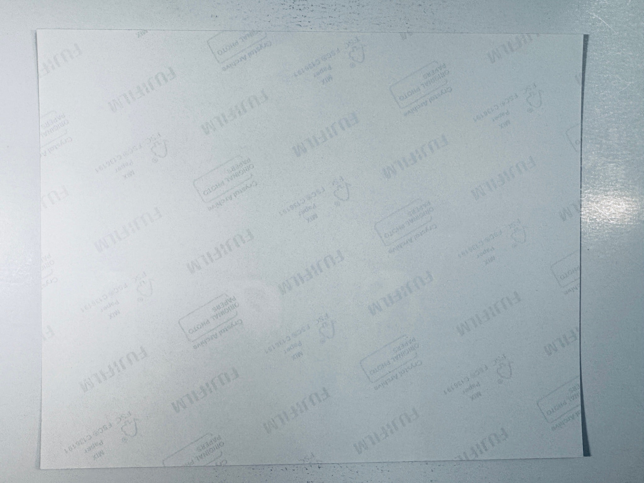 Fujifilm Crystal Archive photographic paper back surface showing the authentic backing and matte paper texture for the Emma Stone signed photo.
