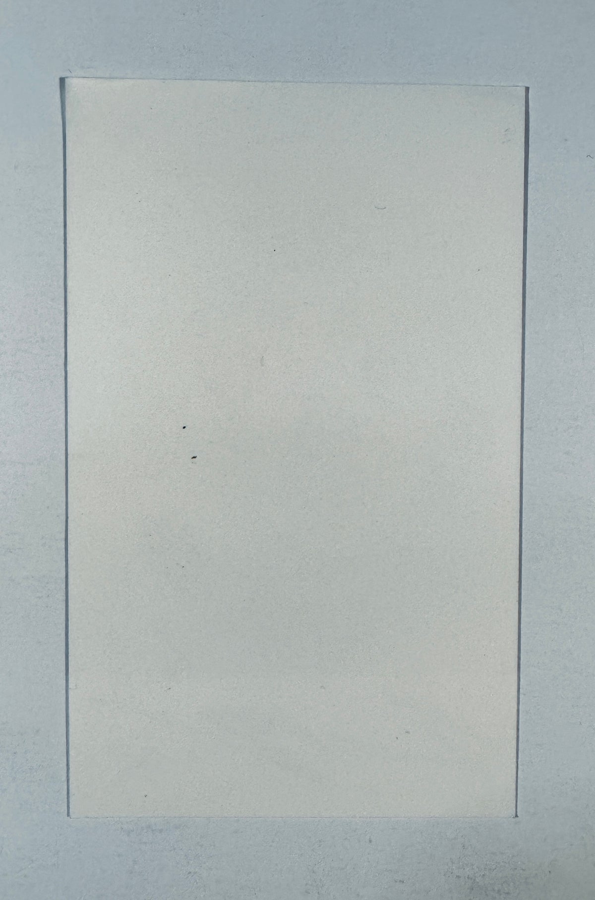 Full back view of the plain, unprinted white photo card