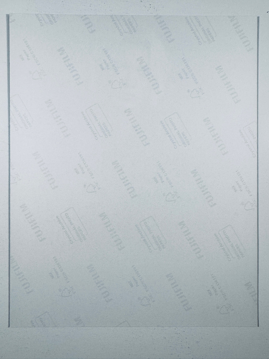 The plain white reverse side representing the back physical condition of the photograph print, showing translucent Fujifilm crystal archive paper watermarks and logos.