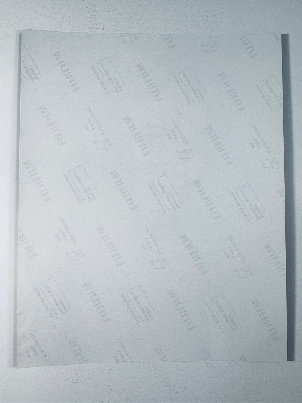 Back of the Fujifilm photographic paper showing the reverse side condition and paper branding for the Freya Allan signed collectible.