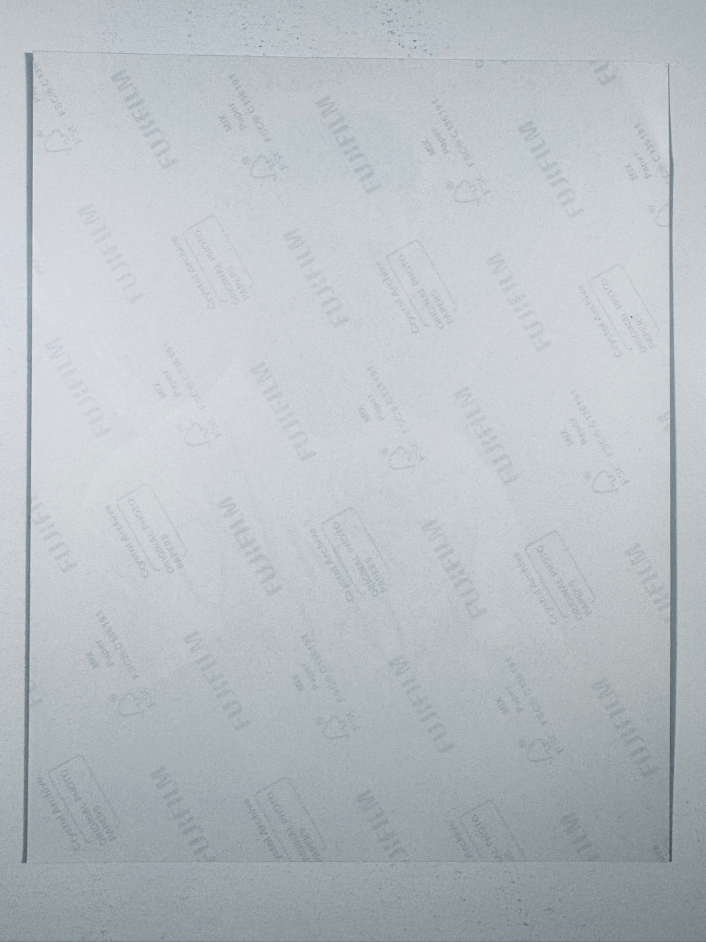 The plain white reverse side representing the back physical condition of the photograph print, showing translucent Fujifilm crystal archive paper watermarks and logos.