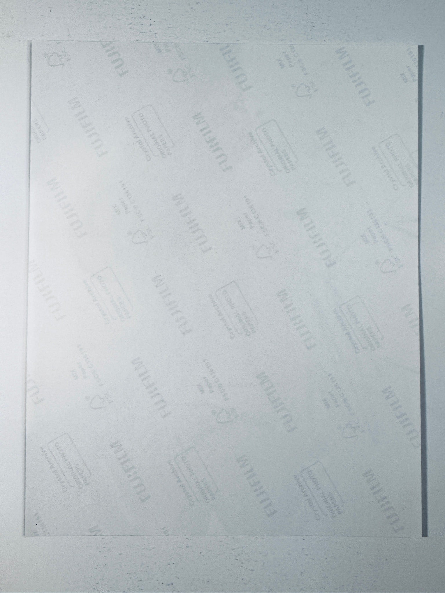 Back of the Fujifilm photographic paper showing the reverse side condition and paper branding for the Hailey Clauson signed collectible.