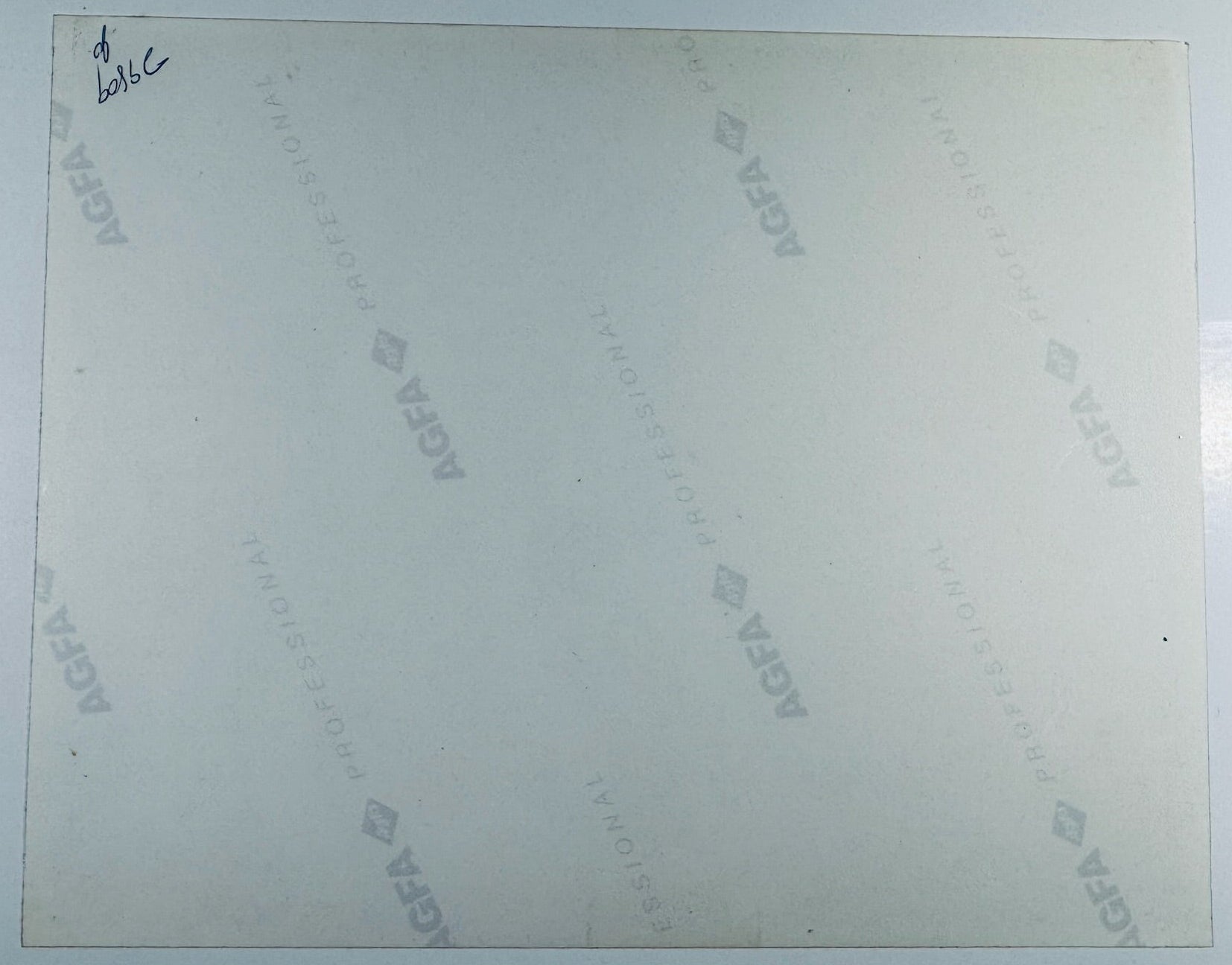 Back of Harrison Ford and Sean Connery Indiana Jones signed 8x10 photograph