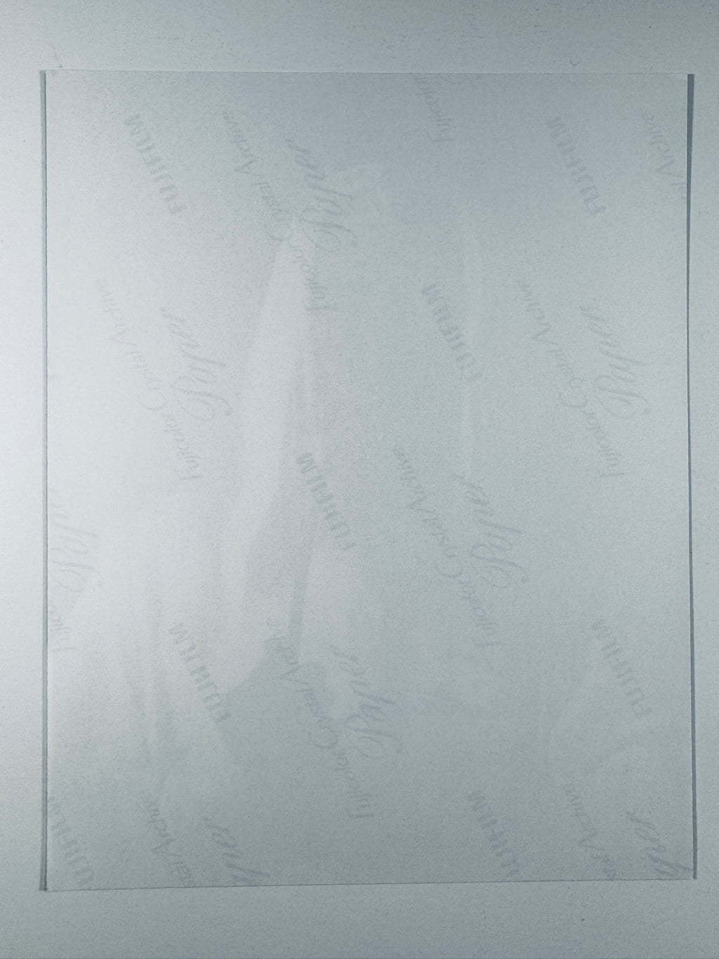 The plain white reverse side of a photographic print showing translucent Fujicolor Crystal Archive Paper watermarks and logos.