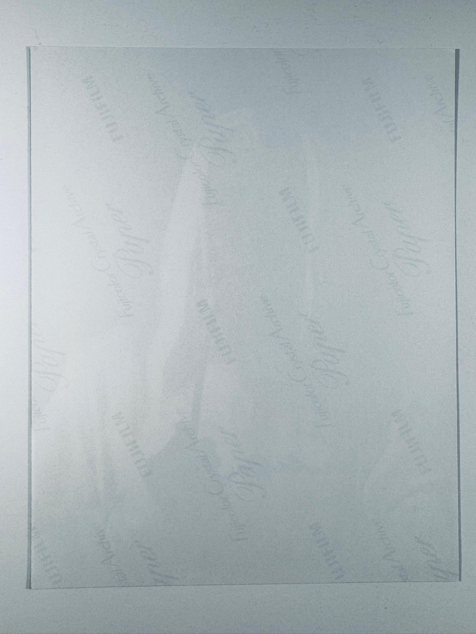 The plain white reverse side of a photographic print showing translucent Fujicolor Crystal Archive Paper watermarks and logos.