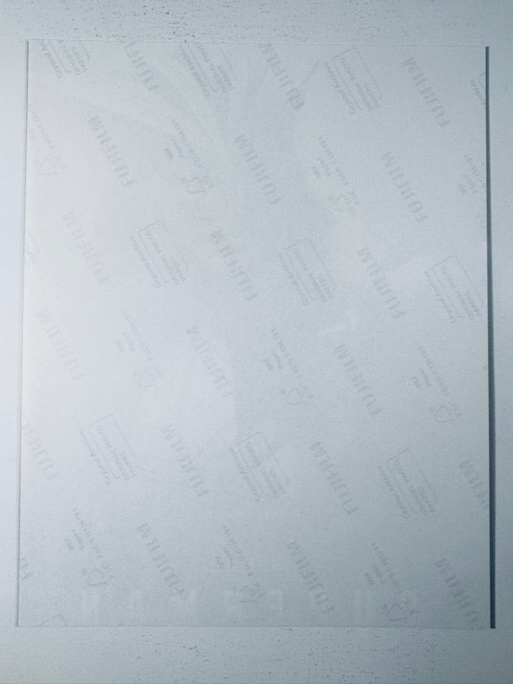 Back of the Fujifilm photographic paper showing the reverse side condition and paper branding for the Isabela Merced signed collectible.