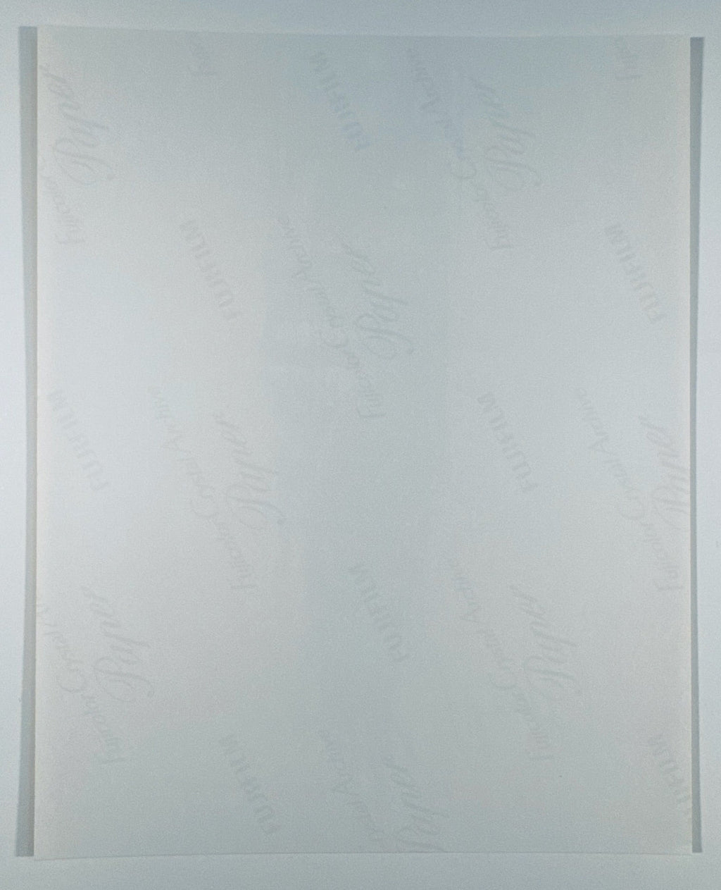 The back of the 8x10 photograph showing its current condition and paper quality.