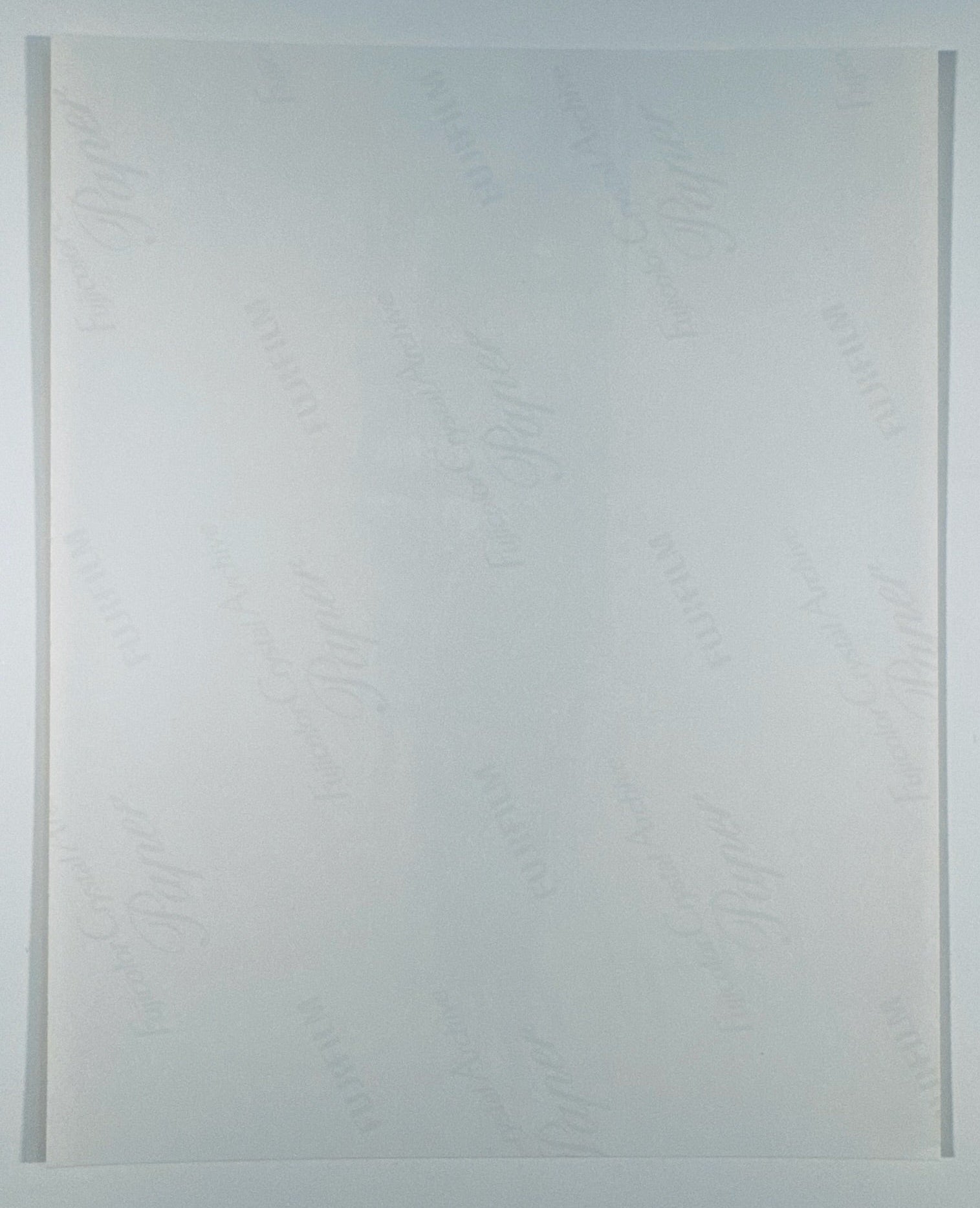 The back of the 8x10 photograph showing its current condition and paper quality.