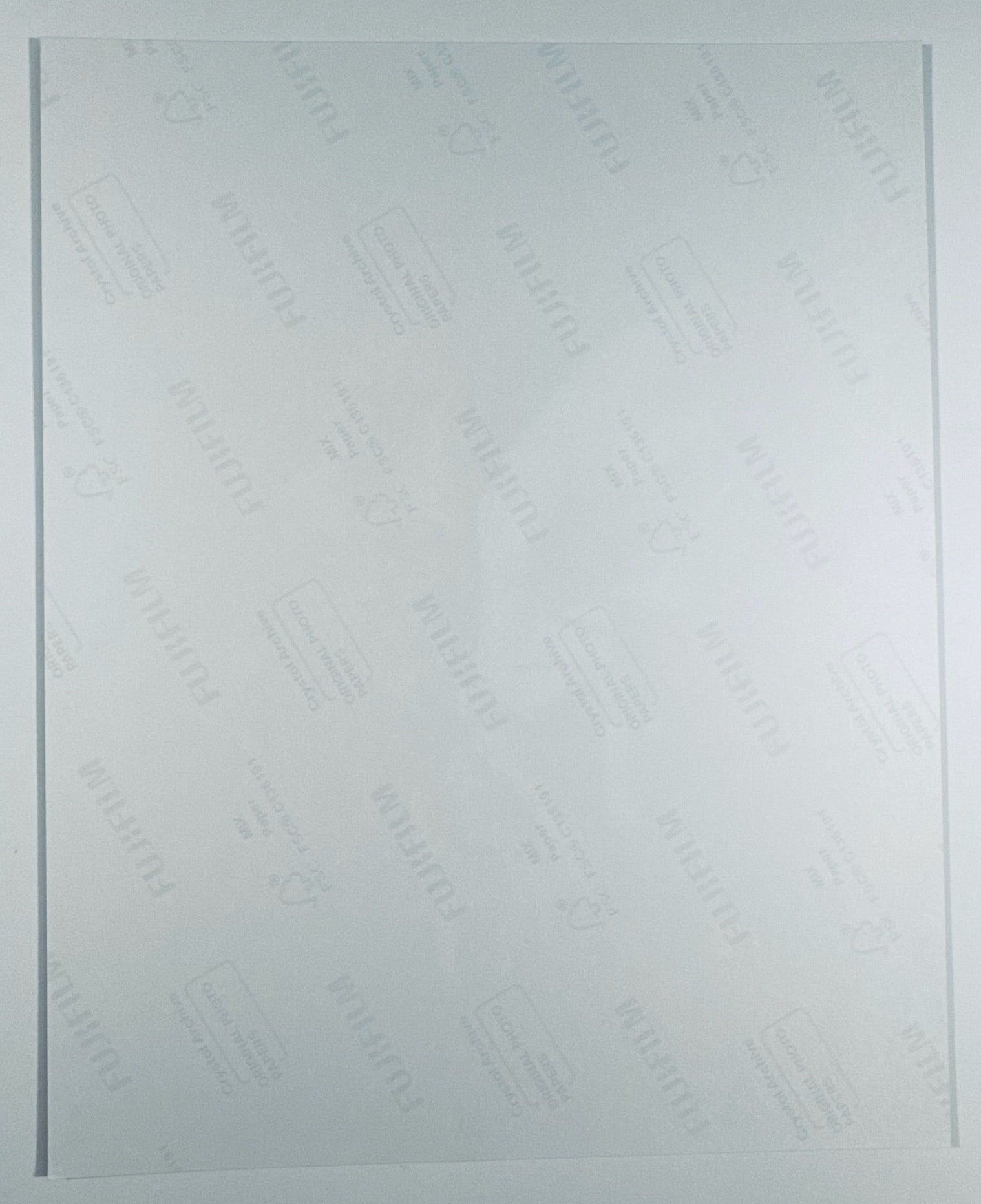 The back of the 8x10 photograph showing its current condition and paper quality.